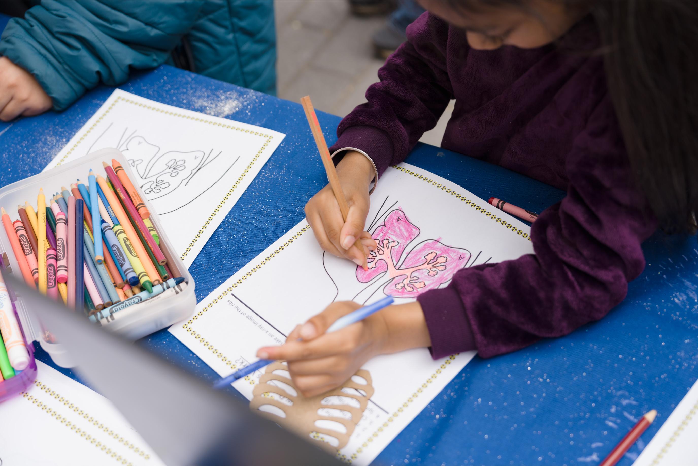 A child colouring the lung outlined on an activity worksheet with a coloured pencil.